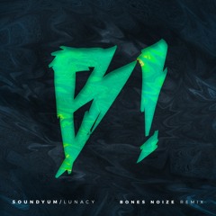 SoundYum - Lunacy(Bones Noize Remix)