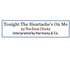 Tonight The Heartache's On Me  (by The Dixie Chicks, interpreted by Harmony & Co.)