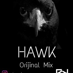 Hawk ( Orijinal Mix ) By DJ Piyush