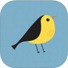 El Pajarito Extraviado