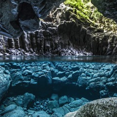 FrostBite Beach | Roblox Story: All Bets Are Off inspired song