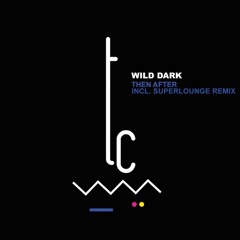 Wild Dark feat. Alex Who!? - Born By The River (Superlounge Remix)