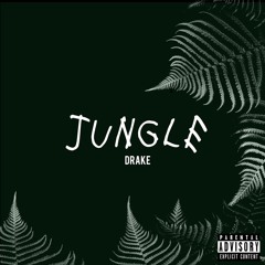 jungle - drake cover