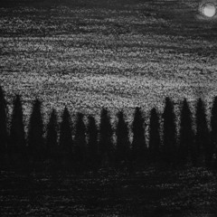 In Forgotten Shrouds (Original Raw Black Metal Composition)[Demo/WIP]