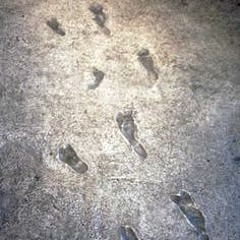 Footprints 120218