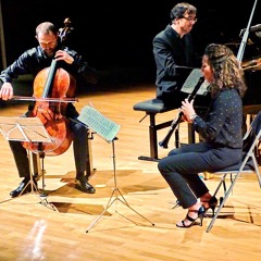 Brahms Clarinet Trio OP 114 - Brahms - Andantino grazioso
