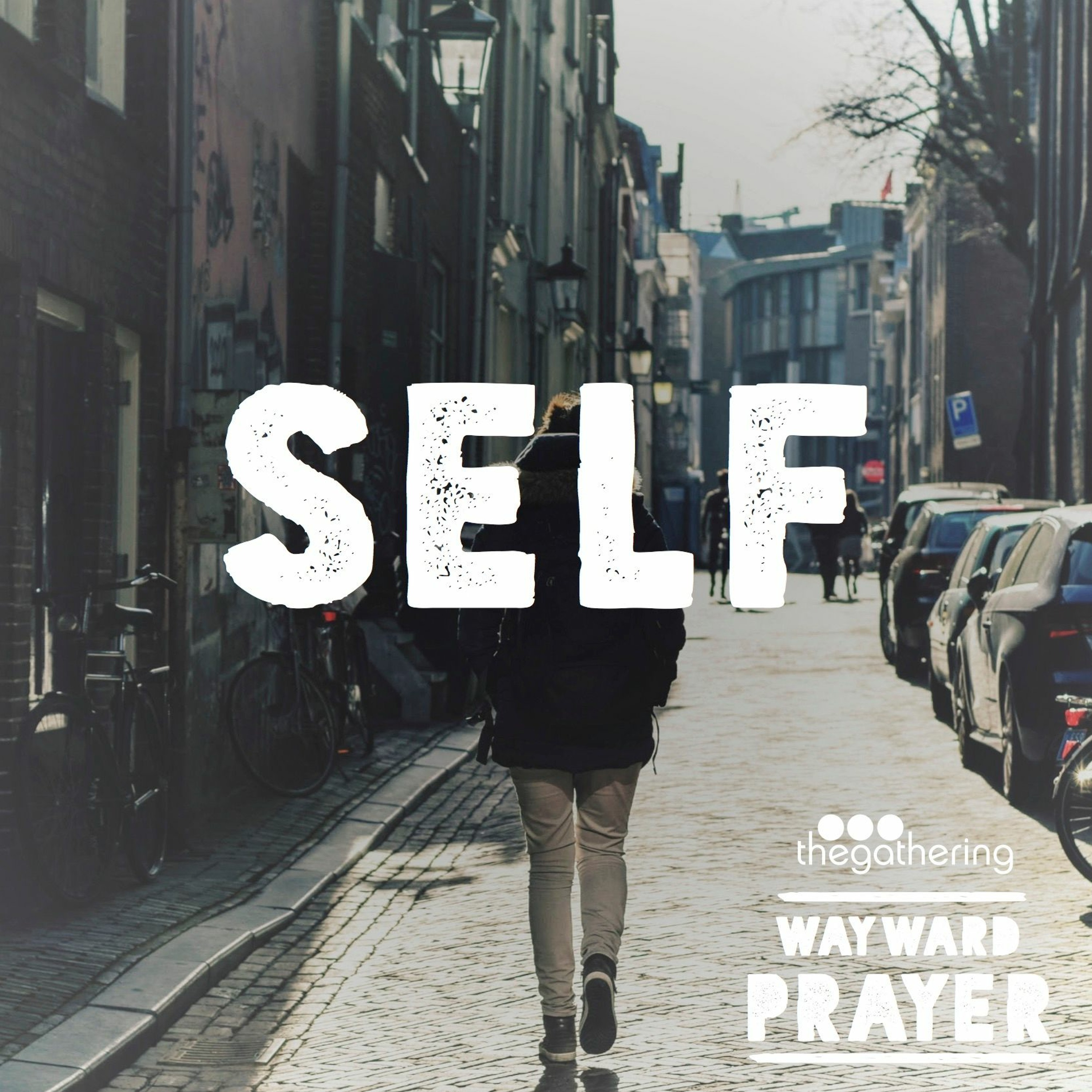 Episode 1 - Self episode artwork