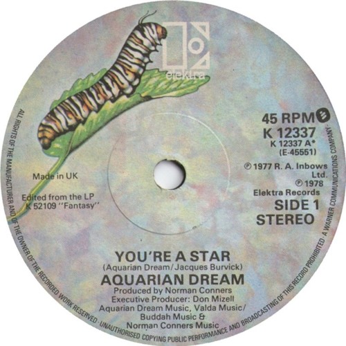 Aquarian Dream - you're a star (mikeandtess edit 4 mix)