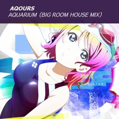 Aquarium (Big Room House Mix)
