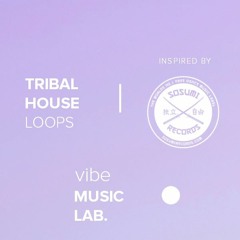 Sosumi Tribal House Loops Vol.1 - FREE