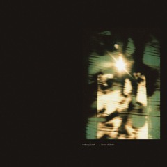 Anthony Linell - Leaves of Glass