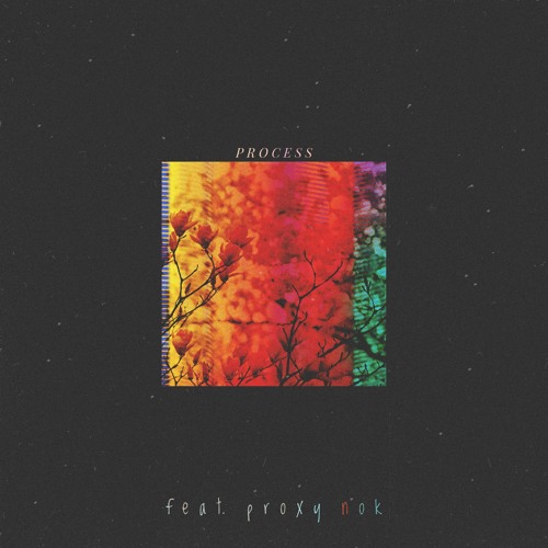 PROCESS (feat. Proxy Nok)(Prod. KAYTRANADA)