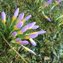 Moon And Mind; Oregon