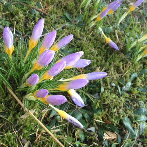 Moon And Mind; Oregon
