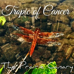 Tropic of Cancer