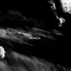 PROWLER