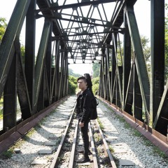 飘向北方 (Stranger In the North)