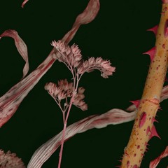 To Be Different Or Something Else