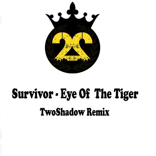Survivor - Eye Of The Tiger TwoShadow Remix