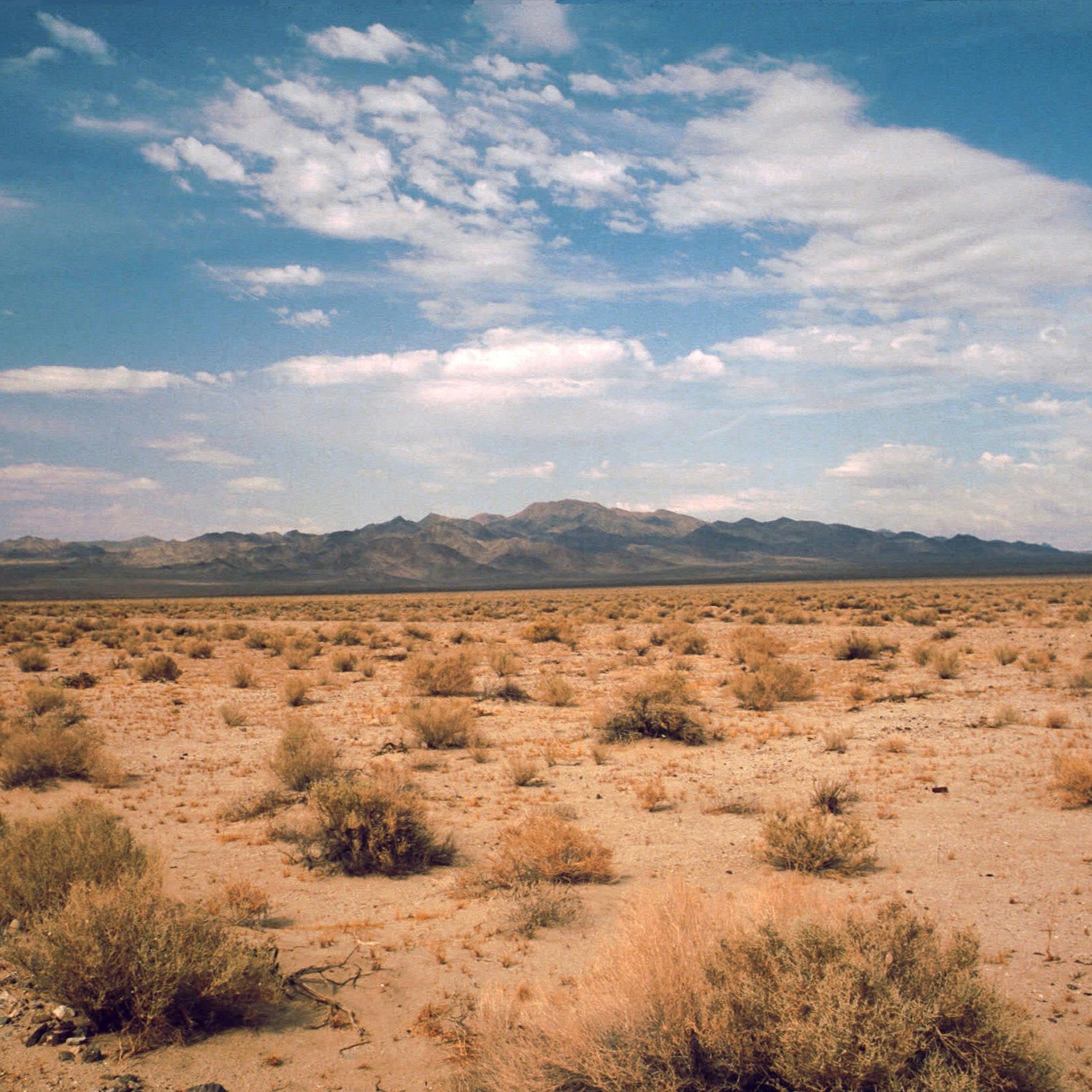 The Desert of the Soul - Homily for February 18 episode artwork