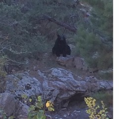 Norma Rockwell- Three Kinds Of Suns