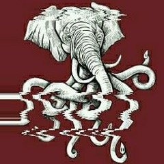 Elephant ILLWAY ft. hvnstays (PROD. Kid Ocean)