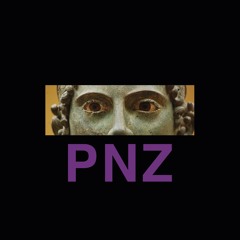 POTTER NATALIZIA ZEN - CHAOSMOSIS [ELP034]