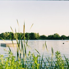 私は日本が好きですs/o 細野晴臣