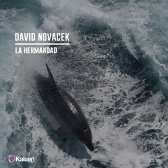 David Novacek - La Hermandad (Original Mix)