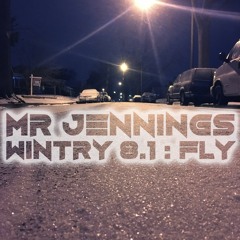 Wintry 8.1 - Fly