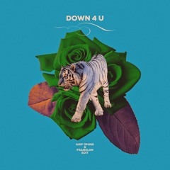 Down 4 U (Arif Omari & Frankliin Edit)
