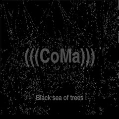 Black sea of trees part 1