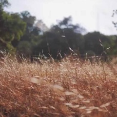 صلى عليك الله ياخير الورى تعداد حبات الرمآل وأكثرا