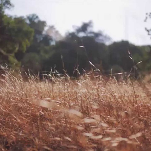 صلى عليك الله ياخير الورى تعداد حبات الرمآل وأكثرا