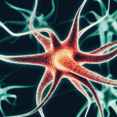 Neuronal Alchemy