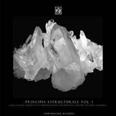 [NTSPE001] VA - Principia Estructurale Vol. I