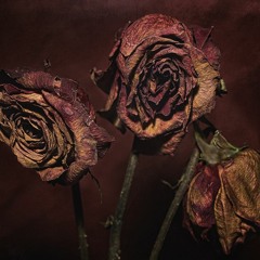 Daaytime Goblins - Reversed Blooms