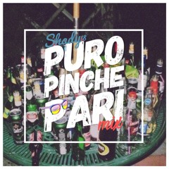 Puro Pinche Pari Mix