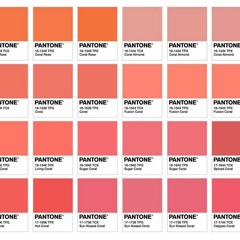 24 Shades of Pink