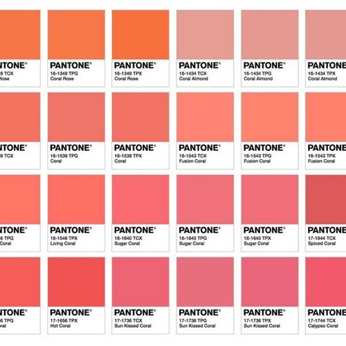 Stream 24 Shades of Pink by edithhhhh