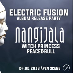 Electric Fusion Witch Princess Promo