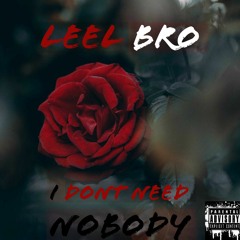 I Dont Need Nobody