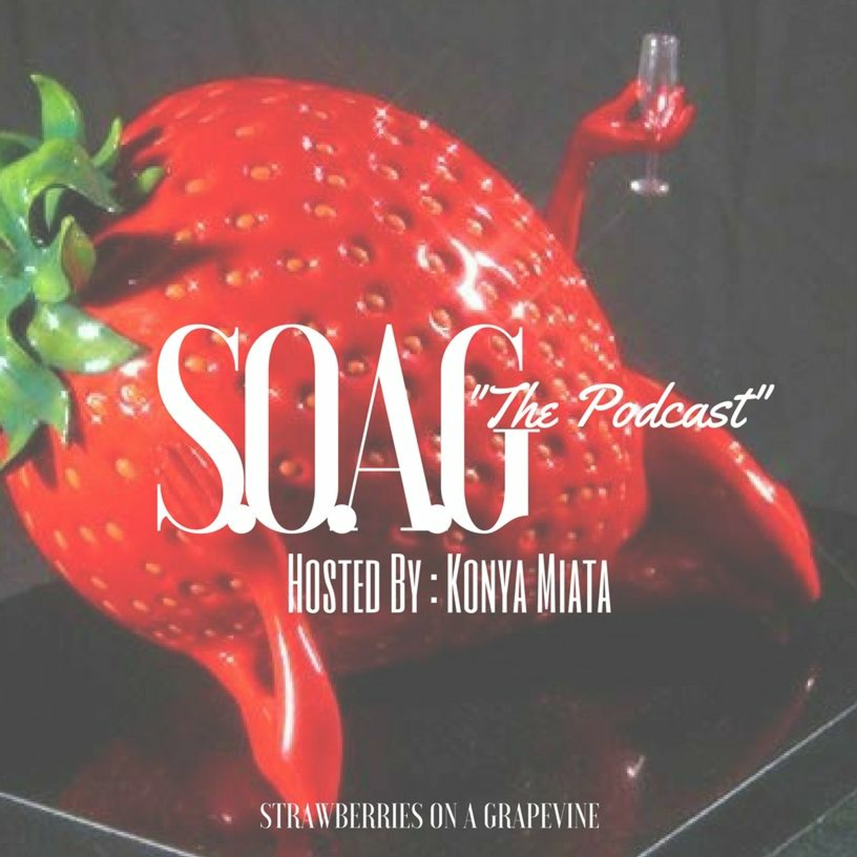 S.O.A.G Season Two Episode One - A Whole 'Notha Year with Chief Armand and Kristina episode artwork