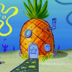 who lives in a pineapple...