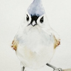 How Come You Never Go There, by Feist