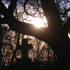 Dungeons, Dragons, and Divinity