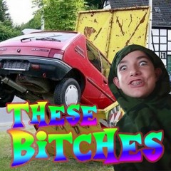 Lil Tomato - These Bitches