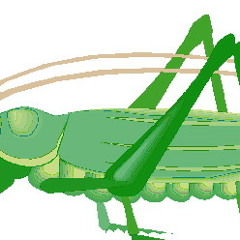 Grasshopper Strategy
