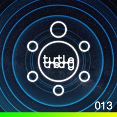 turtletheory - [013]