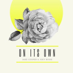 On Its Own - Jake Cooper & Joey Busse | Casual Jam | MrRevillz